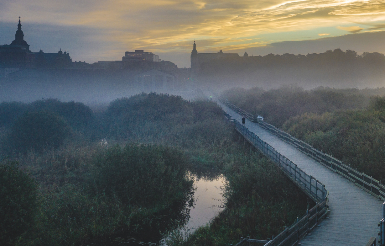 fog over marshes and long wooden bridge that leads to town