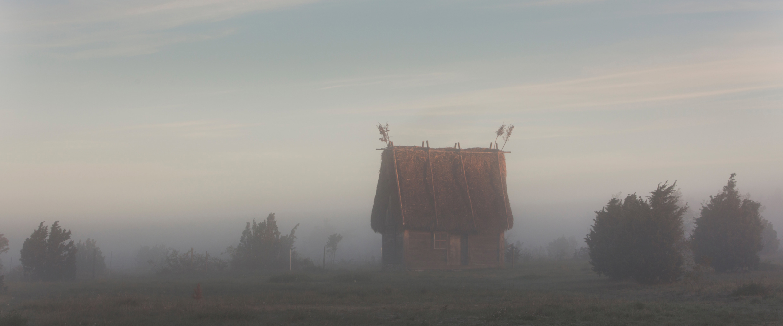 fog over gotland field bushes and small cottage